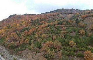 Sinop’ta sonbahar güzelliği