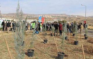 Şırnak’ta 56 bin fidan toprakla buluştu