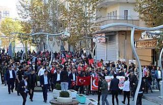 Şırnak’ta, İYİ Partili Türkkan’a yürüyüşle...