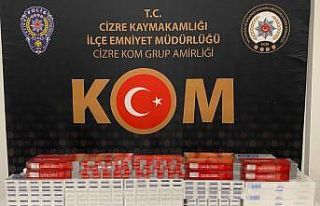 Şırnak’ta kaçakçılık ve asayiş operasyonu:...