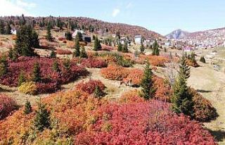 Sis Dağı’ndan sonbahar manzaraları