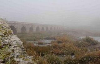 Sivas’ta yoğun sis