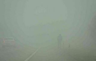 Sivas’ta yoğun sis etkili oldu