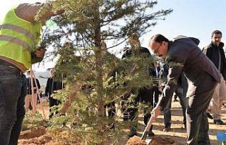 ’Söğüt Ertuğrul Gazi’ ve ’Domaniç Hayme...