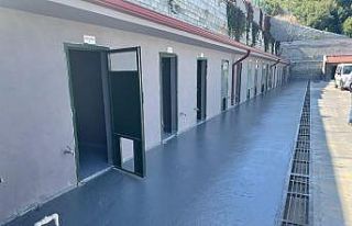 Sokak Hayvanları Tedavi ve Rehabilitasyon Merkezinde...