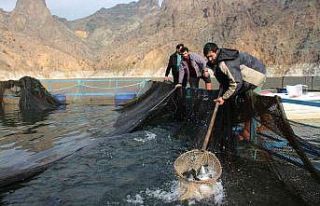 Somon balığı üretiminde Norveç’e rakip oldu
