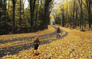 Sonbaharda İl Ormanı adeta büyülüyor