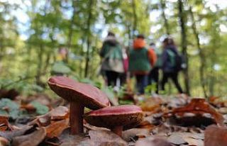 Sonbaharı yaşamak isteyen oraya koşuyor
