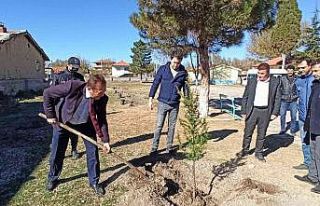 Şuhut’ta binlerce fidan toprakla buluştu