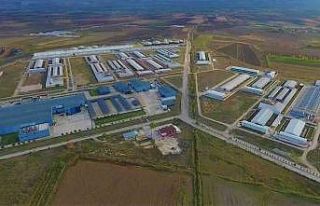 Suluova TDİ Besi OSB, Avrupa devleri arasına girecek
