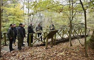 Suuçtu’ya Fransız ilgisi