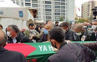 Tacizi önlemeye çalışırken öldürülen Haydarcan...