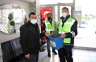 Talas Belediyesi’nden 2 bin 23  mavi ladin