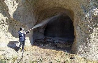 Talas’ta haşerata erken önlem