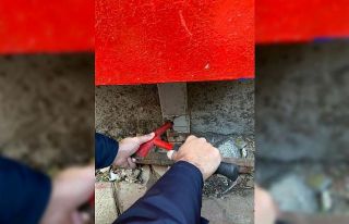 Talihsiz kediyi itfaiye kurtardı