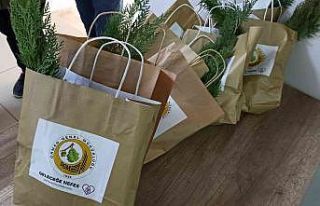 Tapu işlemi yapana fidan hediye