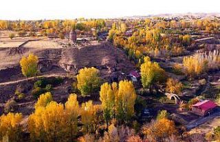 Tarihi şehir Ahlat’ta sonbahar manzaraları görenleri...