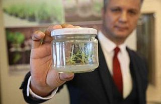 Tarımda çığır açan çalışma