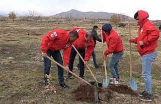Tatvan’da fidan dikimi