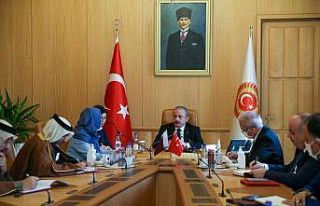 TBMM Başkanı Şentop, Katar Şura Meclisi Başkan...