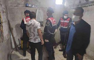 Tek tırnaklı hayvan kesen baba oğula suçüstü