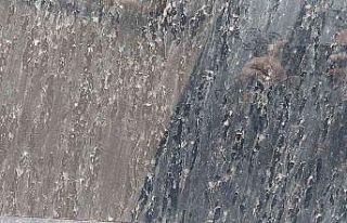 Tekirdağ’da gökten çamur yağdı