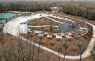 Tepecik mesire alanında sona gelindi