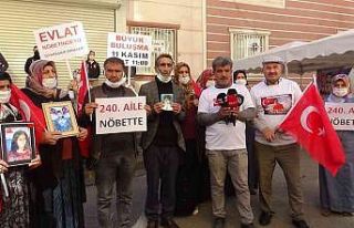 Terör örgütü PKK ağabeyi ile birlikte inşaatta...