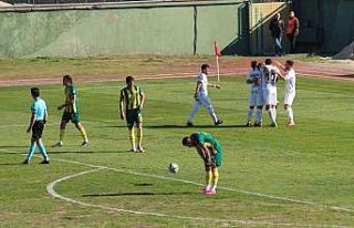 TFF 3. Lig: Darıca Gençlerbirliği: 0 - Iğdır...