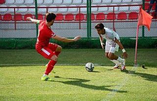 TFF 3. Lig: Elazığspor: 1 - Hendekspor: 1