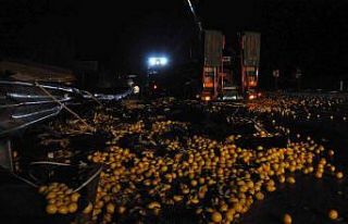 Tır kamyona çarptı, 40 ton limon yola savruldu