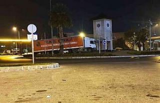 TIR, park adresini şaşırdı