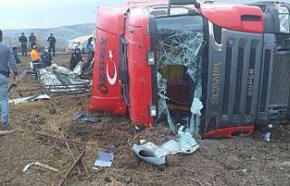 Tır şarampole devrildi, 7 hayvan telef oldu