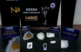 Torbacı kadın tutuklandı