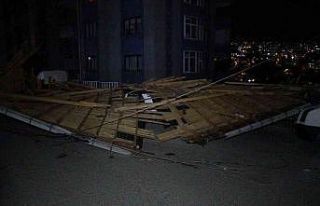 Trabzon’da şiddetli fırtına ağaçları yerinden...