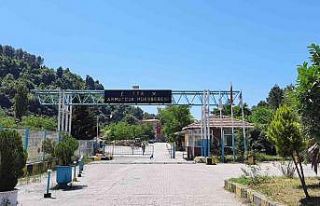 TTK Genel Müdürü Kazım Eroğlu, "Mevcut ayak...
