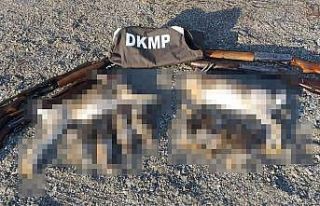 Tunceli’de kaçak avlanan 5 kişiye ceza kesildi