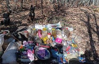 Tunceli’de teröristlerin inlerine girildi, 7 sığınak...