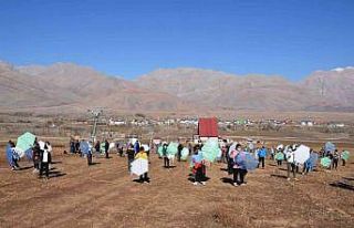 Tunceli’de uçurtma şenliği