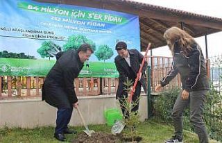 Türkeli’de "11 Kasım Milli Ağaçlandırma...