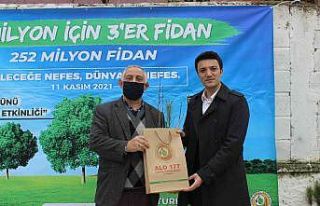 Türkeli’de vatandaşlara ücretsiz fidan dağıtımı