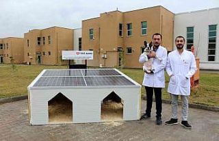 Türkiye’de ilk kez üretildi, sokak hayvanlarına...