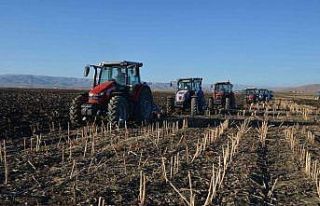 Türkiye’nin 3. büyük ovasında hububat ekimi...