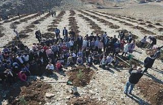 Tut ilçesinde fidanlar toprakla buluştu