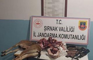 Uludere’de yasa dışı avlanan iki şahsa 185 bin...