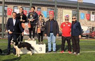 Ümraniye’de düzenlenen “Köpekli Frizbi Yarışması”...