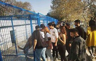 Üniversite öğrencileri can dostları yalnız bırakmadı