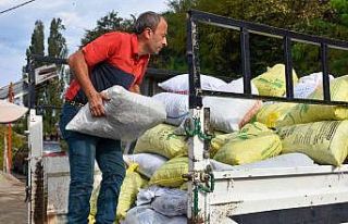 Üretici bu kez çay tohumu için bahçeye girdi