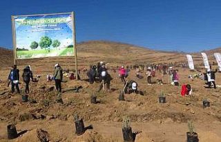 Uşak’ta hedef 1 milyon 107 bin fidan