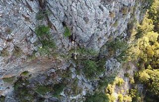 Vali Su: "Müslümeyi bulmak için arkadaşlarımız...